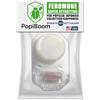 D&D POPIBOOM | Ricarica Feromoni attrattivi per PopillIia Japonica Coleottero Giapponese Scarabeo Giapponese Made in USA. Durata 12+ settimane. Super attrattivo. 1 ricarica (PopillIia Japonica)