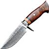 BIGCAT ROAR Wild Tiger - Coltello da Caccia in Acciaio Damasco Artigianale 25 4 cm - Manico in Legno di Noce e Fodero in Cuoio - Bushcraft Campeggio Sopravvivenza - Regalo Uomo Cacciatore