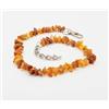 Amber Neck Collare ambra per cani e gatti con catena in metallo, protettivo naturale. Collana d'ambra di AmberNeck (25-30 cm)