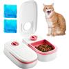 BORDEAG Mangiatoia automatica per gatti, 2 pasti, con timer da 48 ore, 700 ml, per gatti e cani di piccola taglia, adatta per cibo umido e cibo secco