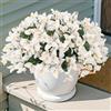 SOMYTING 4 pacchetti di fiori artificiali di bouganville, fiori finti resistenti ai raggi UV, fiori di seta al tatto reale, mazzo di bouganville sintetiche, per interni ed esterni, giardino