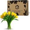 levante group - Tulipani Finti Realistici in Lattice Giallo - 24 pz in Box Regalo - Fiori Artificiali per Casa, Ufficio, Eventi