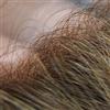 Hair Notion Hairnotion 0.04-0.06mm pelle super sottile anteriore 1/8 v-loop toupee naturale per uomini parrucca da uomo 8x10 pollici (3#)
