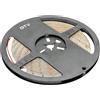 GTV Striscia LED bianco freddo Flash 2835MW, rotolo da 5 m con 300 LED, IP65, impermeabile, dimmerabile, 12 V, 3,7 Wm, 8 mm di larghezza, 6500 K, per illuminazione di mobili da cucina