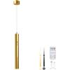 Lightsjoy Lampada a Sospensione 5000mAh Ricaricabile con Telecomando, Ore