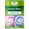 RENACO ITALIA R.I. GROUP SRL Gastro Amp 30 Capsule