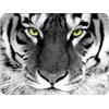 ELLENNE - Tappetino per Mouse 240x200mm | Superficie in Lycra Ultra-Liscia | Comodo, Antiscivolo e lavabile Mousepad per Ufficio, Gaming e Laptop (Cod. 42 - Anima della Tigre)