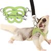 Meow&Woof 3 confezioni di imbracatura e guinzaglio per sugar glider, set per addestramento e passeggiate, per piccoli animali, ideale per scoiattoli, criceti e ratti - Verde