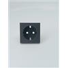 GIRA 492028 Copertura per Presa Elettrica, Placche Prese Elettriche