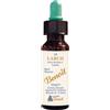 ALCHIMIA BENOIT Srl Benoit, Fiori di Bach, Larch, 10 ml