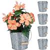 Relaxdays Set da 5 Vasi per Fiori e Piante, Fioriere Giardino Balcone Impermeabili, con Manico, Ferro Zincato, Argentato