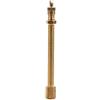 Keenso Estensione della valvola del pneumatico, adattatore di estensione del pneumatico 100/140/200 mm in ottone estensione per gonfiaggio prolunga della valvola(100 mm)