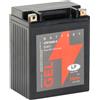 Landport Batteria 12V 14Ah per moto Batteria di avviamento MG LTX14AH-3