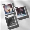KIM SEOK JIN BTS 2° Mini Album Echo Random Ver. CD + libro + P.Card + adesivo...