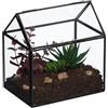 Relaxdays Terrario Piante, Mini Serra in Vetro e Zinco, Teca per Piantine Grasse e Muschi, Vaso Ecosistema Chiuso, Nero