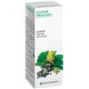 SPECCHIASOL SRL Specchiasol Calendula 5 Tintura Madre 50 Ml Omeopatia