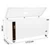 Frigo/Congelatore a Pozzetto Professionale 600, -24°C/+6°C, con Ruote, Porta Cieca e Controllore Elettronico, Larghezza 177,5 cm