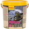 Sera Raffy P Nature 10 L Mangime per Tartarughe Acquatiche