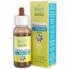 GUNA Resource Remedy Gocce con Fiori di Bach 20 ml