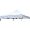 Magazzini Cosma S.P.A. TELO PROFESSIONAL 3 X 3