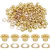 QUARKZMAN 100 Set Occhielli, 3.5mm Ottone Autoportante Occhielli Metallici Con Rondelle Per Cinture, Scarpe, Abbigliamento, Nuclei Di Perline, Progetti Fai Da Te, Tonalità Oro