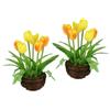 Flair Flower Set di 2 tulipani, 20 cm, fiori artificiali, decorazione primaverile, centrotavola, pianta artificiale, primavera, Pasqua, decorazione floreale, fiori di seta, decorazione da tavolo