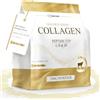 BIOTARY Collagene in Polvere 700 g 100% Collagene Idrolizzato Puro Peptidi di Tipo 1, 2 e 3 Eccellente Solubilità Gusto Neutro Formula Pura Qualità Testata