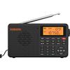 XHDATA Radio portatile, radio digitale con Bluetooth, radio FM ricaricabile USB-C, doppio allarme, orologio SleepTimer 400 stazioni preimpostate, supporto micro SD per musica, XHDATA D-109 per casa e viaggio