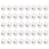 QUARKZMAN Connettore RJ11 a Spina 6P4C Rame Trasparente Telefono 40pz | Connettore Maschio Modulare, per Telefono, Nucleo in Rame, Trasparente