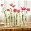 Csuntikulo Vaso di fiori incernierato, provetta dei vasi di fiori incernierati, provetta di vetro di cristallo di forma mutevole di DIY, fiore vaso decorativo per la casa ufficio decorazione