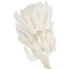 PATIKIL 15.7in Code Di Coniglio Fiori Secchi, 150pci Coda Di Coniglio Naturale Morbida Finta Secca Per Decorazione Casa Boho Vaso Matrimonio, Bianco