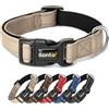 lionto Collare Cane Riflettente 360°, Imbottita, Taglia S, Beige | Collare per cani in nylon resistente, morbido e regolabile, con fibbia robusta e anello D per guinzaglio
