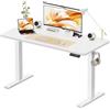 WALKINGDESK Scrivania Regolabile in Altezza, 120 x 60 cm Tavolo Elettrica con 2 Ganci, Standing Desk con Memoria per 4 Altezze, Scrivanie in Piedi in Casa con Piano Assemblato, Bianco