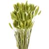 QUARKZMAN 120pz Coda di Coniglio Naturale Fiori Secchi 43cm Mini Erba di Pampa per Decorazioni Floreali Matrimonio Natale, Verde Frutta
