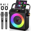 JYX Karaoke con 2 Microfono, 5.3 Cassa Bluetooth, Canta tu 12+ Ore di Riproduzione, Altoparlante con Luci DJ, Cassa Karaoke Professionale per Feste a Casa e all'Aperto, Supporto REC, TWS