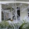 Diyxisk 30 Pezzi Ragni Halloween, 60g Ragnatele Halloween, Paura Ragni Finti, Realistico Ragnatela Finta, per Decorazioni di Spazi Interni ed Esterni di Giardini e Feste in Case Infestate