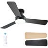 Passky Ventilatore a soffitto con luce silenzioso 107cm, Comando a distanza, Motore CC reversibile, 3 regolazioni di colore, Funzione estate-inverno, 6 velocità, Temporizzatore, Interno/esterno, Nero