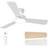 Passky Ventilatore a soffitto con luce silenzioso 107cm, Comando a distanza, Motore CC reversibile,3 regolazioni di colore, Funzione estate-inverno, 6 velocità,Temporizzatore, Interno/esterno, Bianco