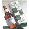 SANGALLI Srl UVA URSINA FGL 100ML TM