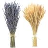 Best ZOIKOM Lavanda Essiccata& Spighe Di Grano Decorative,Casa Fascio Da Vere Naturali fiori di grano secco erba mazzo fascio di fiori artificiali secchi puleggia per camino, casa, chiesa, tavolo matrimonio