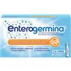 OPELLA HEALTHCARE ITALY Srl Enterogermina 4 Miliardi | Fermenti Lattici Bacillus Clausii | 20 Flaconcini 5ml