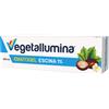 PIETRASANTA PHARMA SpA Vegetallumina Escina 1% Gel 100ml