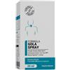 ALSA LAB(LINFA) FORMULA GOLA SPRAY ADULTI 20ML