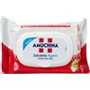 ANGELINI (A.C.R.A.F.) SpA AMUCHINA XGERM SALV MANI 20PZ