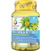 OPTIMA NATURALS Srl Rhodiola Rosea Plus | Integratore Adattogeno Stress Stanchezza Tono Umore Optima Colours of Life | 60 Compresse