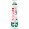 L.MANETTI-H.ROBERTS & C. SpA Borotalco Deodorante Spray Invisibile Verde 48h 150ml