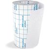 ESSITY ITALY SpA Leukoplast Fixomull Stretch Garza Adesiva 5mt X 5cm