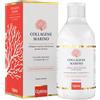 OPTIMA Collagene Marino Liquido | Idrolizzato Acido Ialuronico Optima | 500ml
