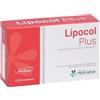 ANVEST HEALTH SpA SOC. BENEFIT Lipocol Plus | Colesterolo Riso Rosso e Bergamotto | 30 Compresse