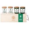 ALCEA Srl Himalaya Cofanetto 4 Candele Wine | Cera Soia Naturale Box Legno | 4x75 g